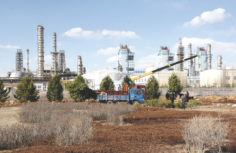 电子游戏平台集合